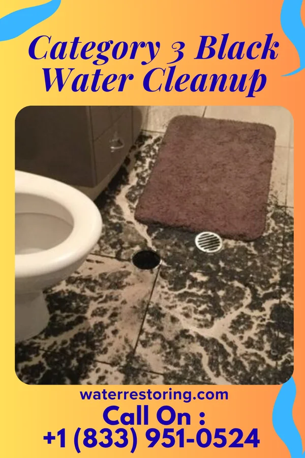 Category 3 Black Water Cleanup in Magnolia, IA