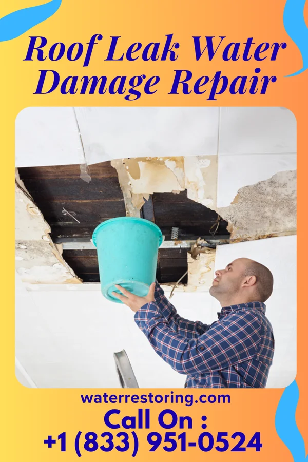 Roof Leak Water Damage Repair in Magnolia, IA